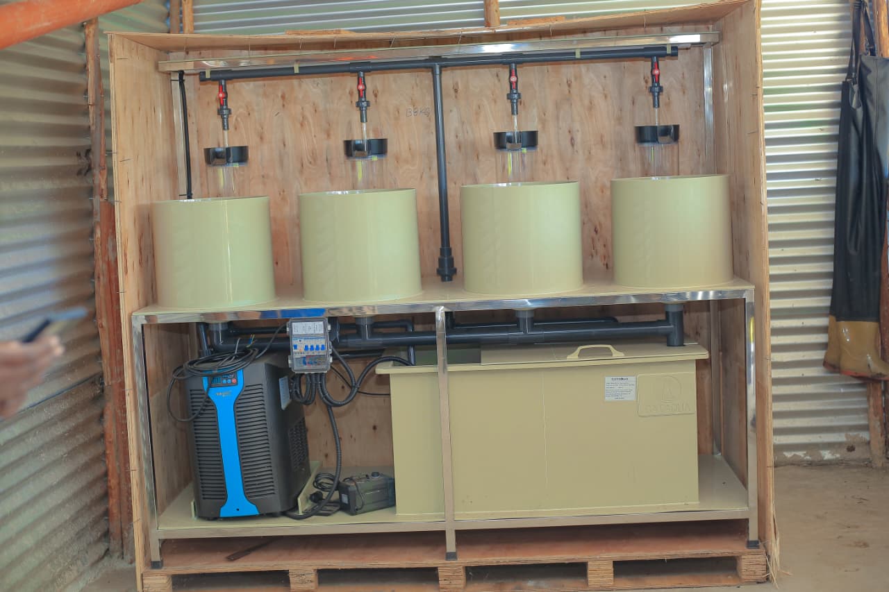 RAS systems
